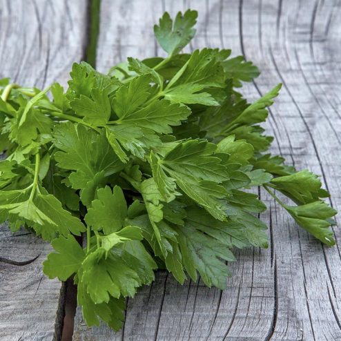 parsley